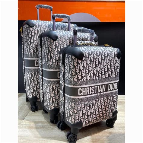 dior mens travel bag|christian dior luggage bag.